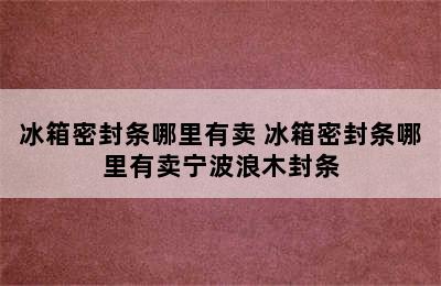 冰箱密封条哪里有卖 冰箱密封条哪里有卖宁波浪木封条